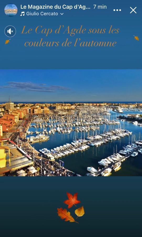 Studio La Grande Roue Vue Magnifique Agde Εξωτερικό φωτογραφία